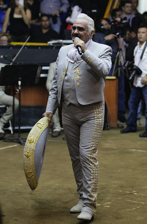 Vicente Fernández Vicente Fernández